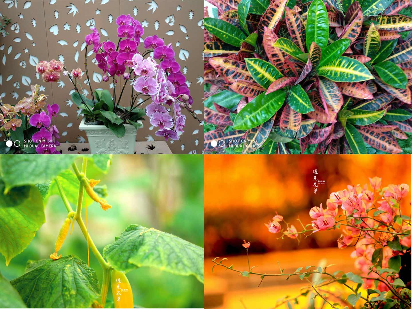 1690872663257142.jpg 1.jpg